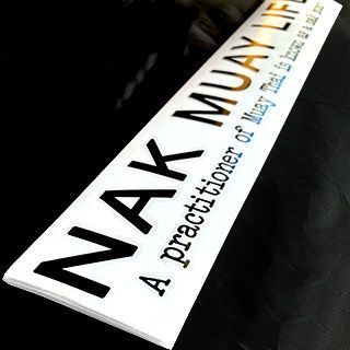 Picture of Practitioner Die Cut Sticker - Black